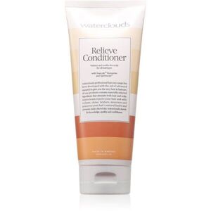 Waterclouds Relieve kondicionáló a tündöklő fényért 200 ml kép