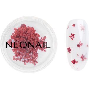 NEONAIL Dried Flowers szárított virág körmökre árnyalat 08 Red 1 db kép