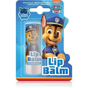 Nickelodeon Paw Patrol Lips ajakbalzsam gyermekeknek Blueberry 4, 4 g kép