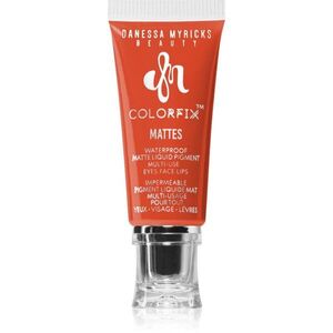 Danessa Myricks Beauty Colorfix Mattes multifunkcionális smink a szemre, az ajkakra és az arcra árnyalat Carrot Cake 10 ml kép