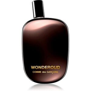 Comme des Garçons Wonderoud Eau de Parfum unisex 100 ml kép