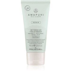 Paul Mitchell Awapuhi Wild Ginger Repair Intevsive Treatment intenzív hajkúra a károsult hajra 75 ml kép