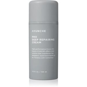 AYUNCHE Pro Deep Repairing Cream mélyen helyreállító krém a károsult hajra 100 ml kép