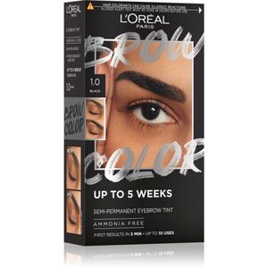 L’Oréal Paris Brow Color szemöldökfesték árnyalat 1.0 Black 1 db kép