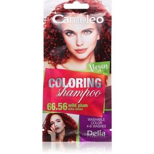 Delia Cosmetics Cameleo Coloring Shampoo tonizáló sampon hajra árnyalat 66.56 Wild Plum 40 ml kép
