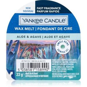 Yankee Candle Aloe & Agave illatos viasz aromalámpába 22 g kép