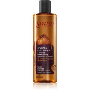Farmona Jantar Amber Essence sampon a hullámos és göndör hajra 300 ml kép