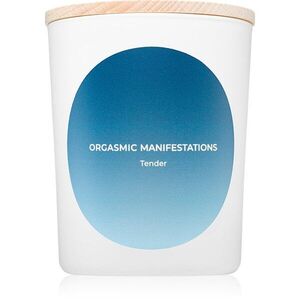 Smile Makers Orgasmic Manifestations Tender illatgyertya 180 g kép