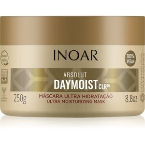 INOAR Absolut Daymoist CLR™ intenzív hidratáló maszk száraz és festett hajra 250 g kép