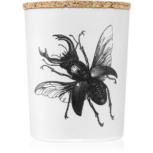 Vila Hermanos Insect Lucanus Cervus illatgyertya 75 g kép