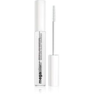 Wet n Wild MegaClear átlátszó szempillaspirál Szempillákra és szemöldökre árnyalat Transparent 9 ml kép