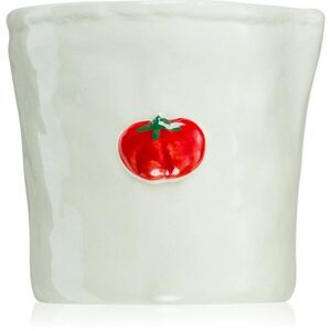 Paddywax Bistro Heirloom Tomato illatgyertya 226 g kép