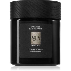 Vila Hermanos Apothecary Japanese Rest illatgyertya 150 g kép