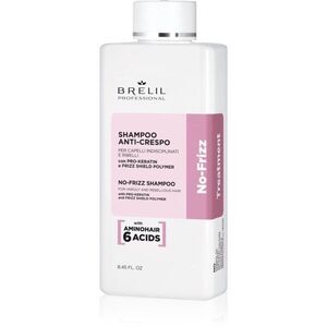 Brelil Professional No Frizz sampon a rakoncátlan és töredezett hajra 250 ml kép