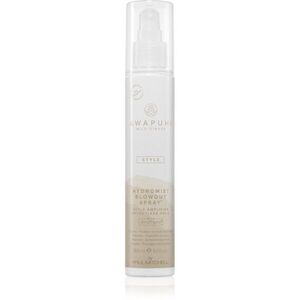Paul Mitchell Awapuhi Wild Ginger HydroMist Blowout Spray fixáló spray a tökéletes dús hatásért 150 ml kép