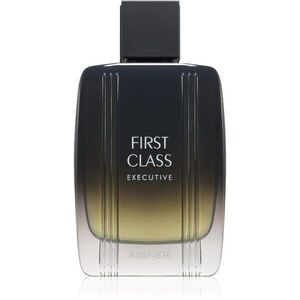 Etienne Aigner First Class Executive Eau de Toilette uraknak 100 ml kép