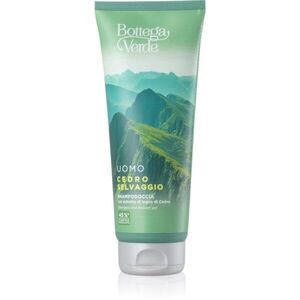 Bottega Verde Cedro Selvaggio tusfürdő gél és sampon 2 in 1 200 ml kép