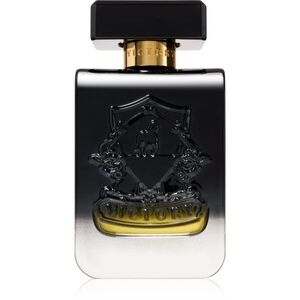 Victory Chrome Eau de Parfum unisex 100 ml kép