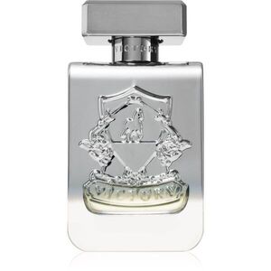 Victory Silver Eau de Parfum unisex 100 ml kép