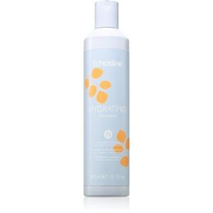 Echosline Hydrating Shampoo hidratáló sampon száraz és rakoncátlan hajra 300 ml kép