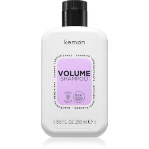 Kemon Group Volume sampon a dús hajért 250 ml kép
