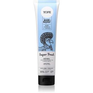 Yope Daily Heroes Fresh Conditioner Fresh Grass dúsító kondicionáló zsíros hajra 170 ml kép