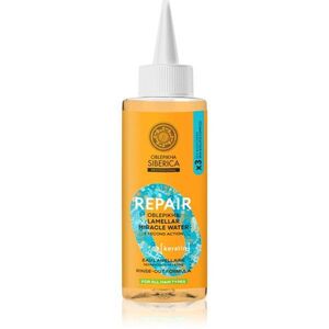 Natura Siberica Oblepikha Siberica Repair micellás víz az erős és fénylő hajért 200 ml kép