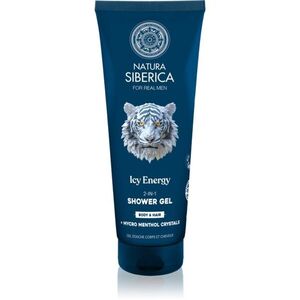 Natura Siberica Arctic Wild Icy Energy tusfürdő gél és sampon 2 in 1 uraknak 200 ml kép