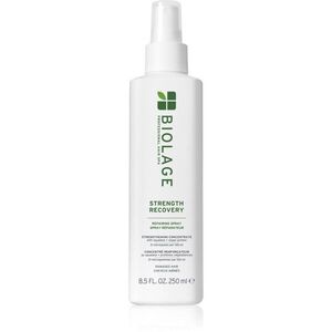 Biolage Strength Recovery Strenght Recovery erősítő spray a károsult hajra 250 ml kép