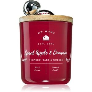 DW Home Farmhouse Spiced Apple & Cinnamon illatgyertya 241 g kép