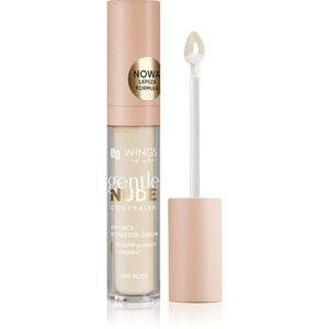 AA Wings of Color Gentle Nude Concealer folyékony korrektor árnyalat 400 Nude 6.2 g kép