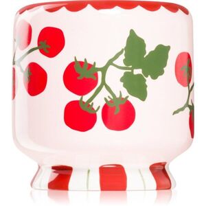 Paddywax A Dopo Tomato Vine illatgyertya 226 g kép