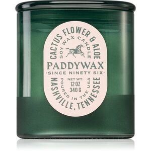 Paddywax Vista Cactus Flower & Aloe illatgyertya 340 g kép
