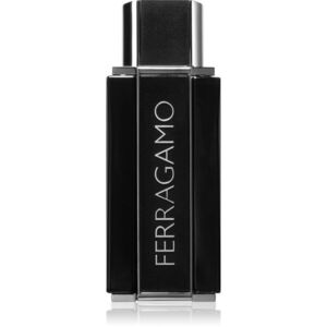 Ferragamo Sublime Leather Eau de Parfum uraknak 100 ml kép