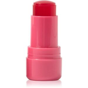 Technic Cosmetics Jelly Tint pirosító stick az arcra és a szájra árnyalat Red Hot 9 g kép