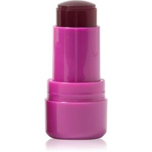 Technic Cosmetics Jelly Tint pirosító stick az arcra és a szájra árnyalat Berry Cool 9 g kép
