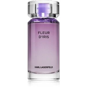 Karl Lagerfeld Fleur D'Iris Eau de Parfum hölgyeknek 100 ml kép