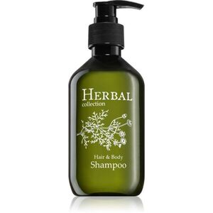 Herbal Collection Hair and Body Shampoo sampon testre és hajra 300 ml kép