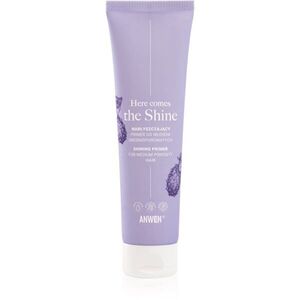 Anwen Here Comes The Shine Shining Primer For Medium Porosity Hair Egységesítő sminkalap hajra 100 ml kép