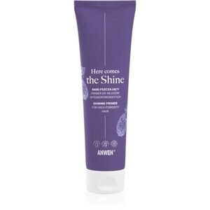 Anwen Here Comes The Shine Shining Primer For High Porosity Hair Egységesítő sminkalap hajra 100 ml kép