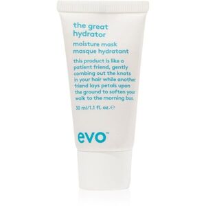 EVO Hydrate The Great Hydrator hidratáló maszk a száraz és törékeny haj fényéért 30 ml kép