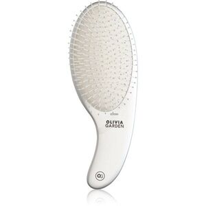Olivia Garden Expert CURVE Nylon Silver hajkefe 1 db kép