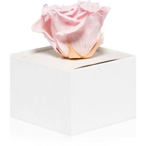 RoseAmor Pink örökrózsa dobozban 1 db kép