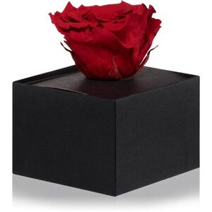 RoseAmor Red örökrózsa dobozban 1 db kép