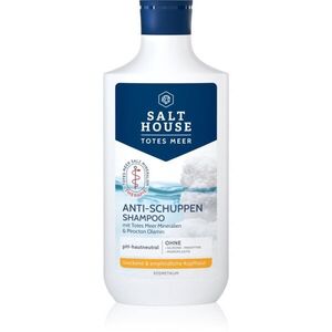 Salt House Dead Sea Therapy Anti-dandruff Shampoo korpásodás elleni sampon 250 ml kép
