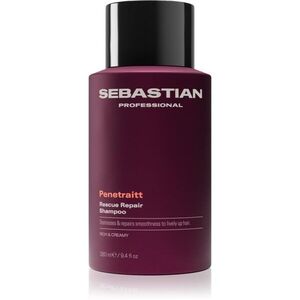 Sebastian Professional Penetraitt sampon sérült, vegyileg kezelt hajra 280 ml kép