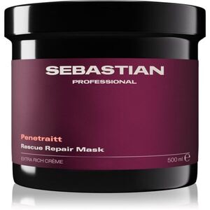 Sebastian Professional Penetraitt maszk sérült, vegyileg kezelt hajra 500 ml kép
