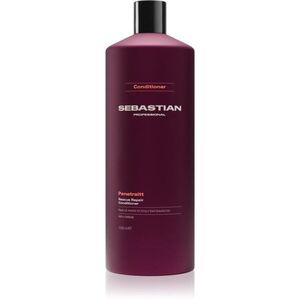 Sebastian Professional Penetraitt kondicionáló sérült, vegyileg kezelt hajra 1000 ml kép