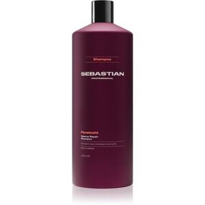 Sebastian Professional Penetraitt sampon sérült, vegyileg kezelt hajra 1000 ml kép