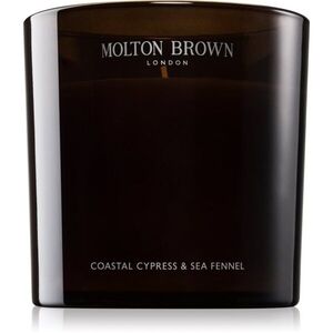 Molton Brown Coastal Cypress & Sea Fennel illatgyertya 600 g kép